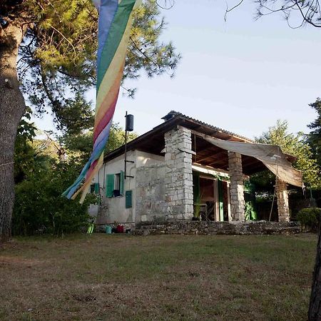 Holiday Home Dajla 35 Novigrad Istria Εξωτερικό φωτογραφία