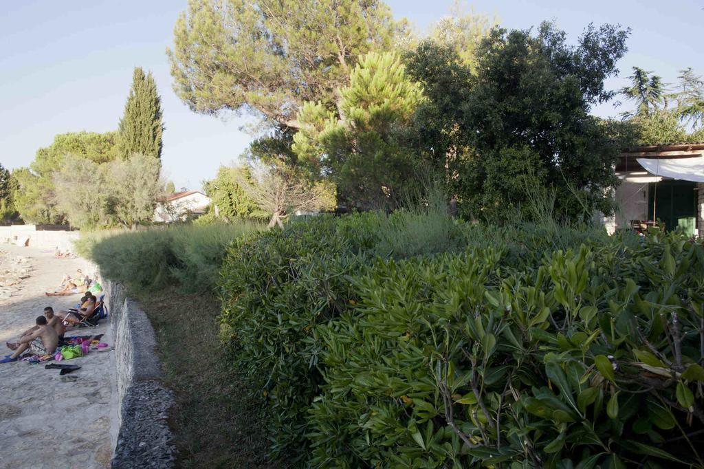 Holiday Home Dajla 35 Novigrad Istria Εξωτερικό φωτογραφία