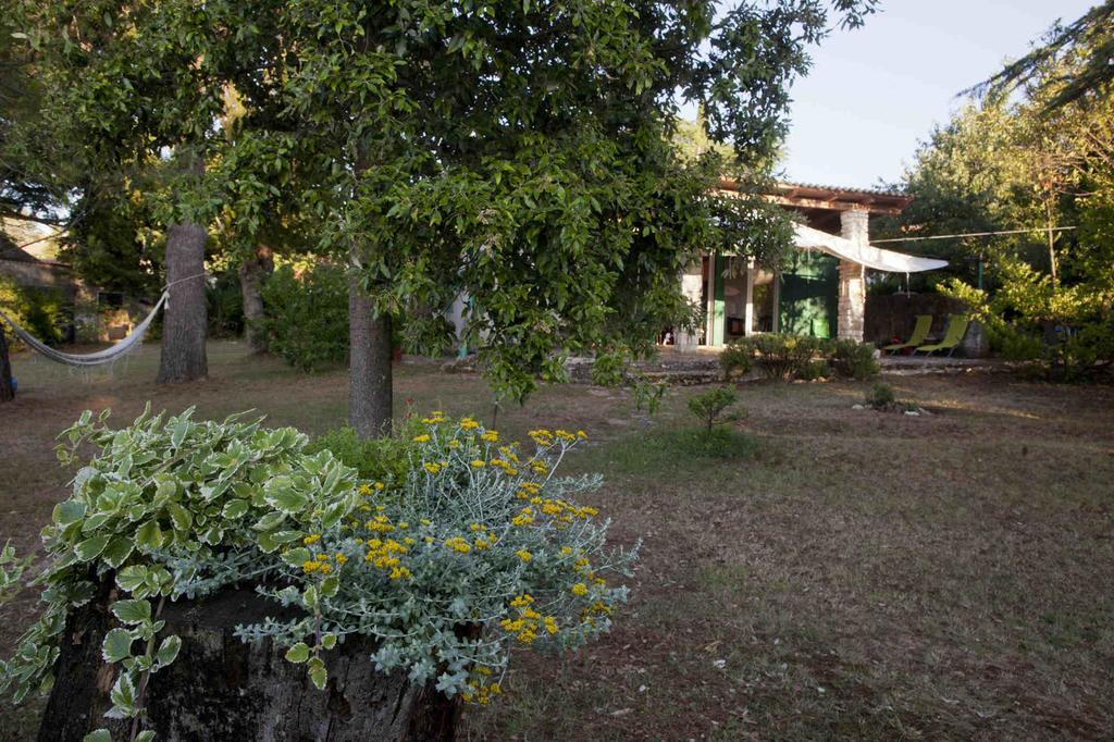 Holiday Home Dajla 35 Novigrad Istria Εξωτερικό φωτογραφία